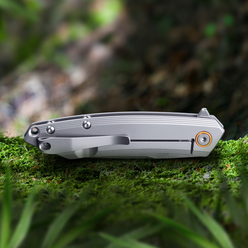 Navaja Ruike P831S-SA (Color Plata)