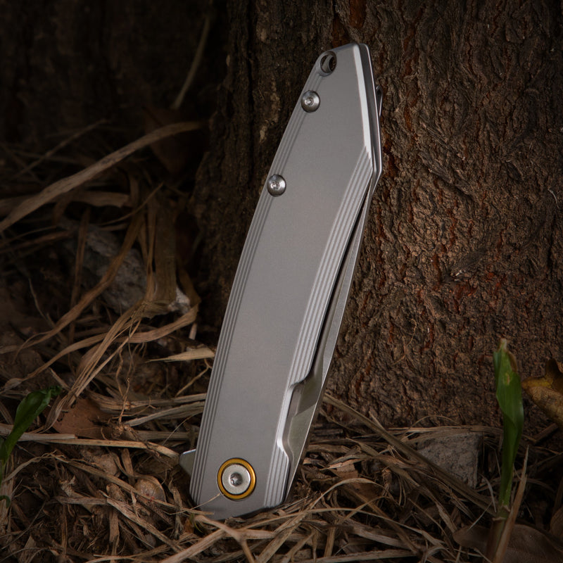 Navaja Ruike P831S-SA (Color Plata)